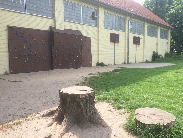 Pausenhof und Sportplatz (3)